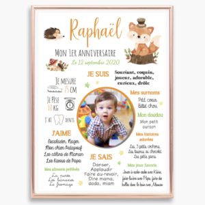 Affiche D Anniversaire Collection Raphael Mon Rose Pompon Vos Affiches Personnalisees Naissance Anniversaire Bapteme Mariage Carte Etapes Grossesse Bebe